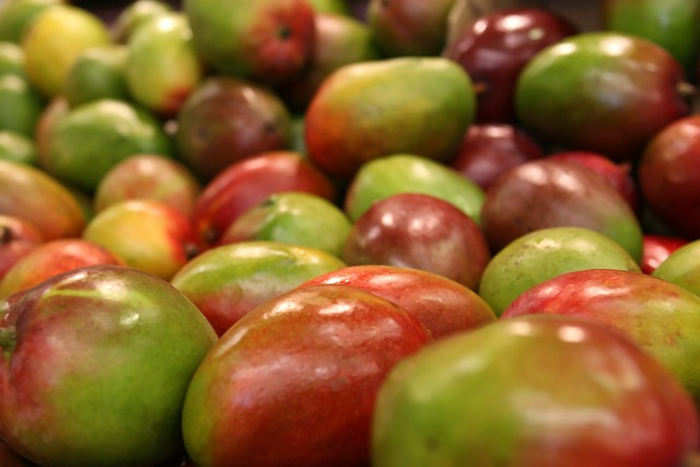 Mango Spain